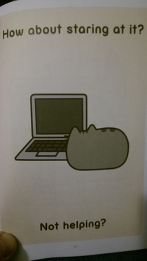 Pic #5 - My daughters book includes tech support tips for cats