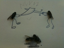 Pic #5 - Sometimes i get bored at work Have some dead flies 