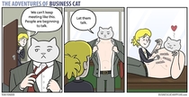 Pic #5 - The adventures of business cat