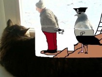 Pic #5 - The evolution of a man a pigeon and cat