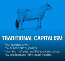 Pic #5 - The world economy explained with just two cows