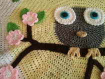 Pic #6 -  An owl blanket I made for a friends baby shower