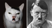 Pic #6 - Animals That Are Celebrity Look-alikes
