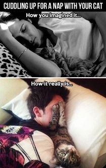 Pic #6 -  Hilarious Struggles Only Cat People Can Understand
