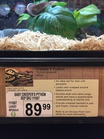 Pic #6 - I added some new pet options to a local pet store