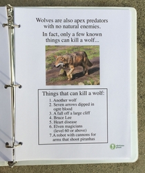 Pic #6 - I left this free biology report about wolves outside a Los Angeles high school
