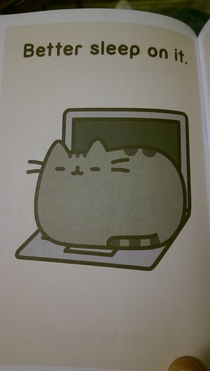 Pic #6 - My daughters book includes tech support tips for cats