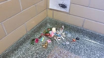Pic #6 - There has been a dead cockroach in the anthropology buildings stairwell for at least two weeks Some enterprising person has now made her a little shrine