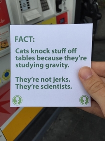 Pic #6 - This promotional box at a gas station I go to is always empty So I filled it with fun facts for people to read while they wait for their gas to pump