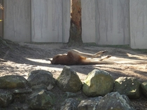 Pic #6 - Went to the fing zoo