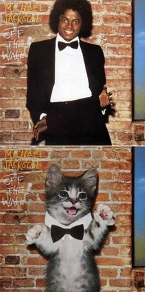 Pic #6 - What can make classic rock albums better Kittens can