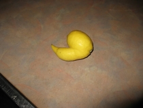 Pic #6 - You call that the worst lemon ever I present you scumbag lemon with clit tickler companion