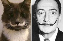 Pic #7 - Animals That Are Celebrity Look-alikes
