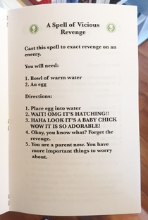 Pic #7 - I made a book of magic spells and left it in a metaphysical shop