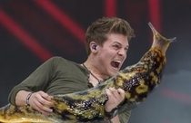 Pic #7 - Rockstars soloing with giant slugs explains the faces