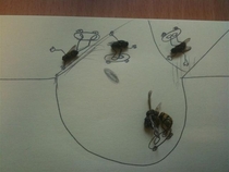 Pic #7 - Sometimes i get bored at work Have some dead flies 