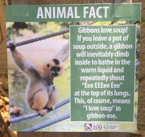 Pic #8 - Guy puts fake signs around the LA Zoo