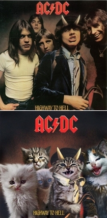 Pic #8 - What can make classic rock albums better Kittens can