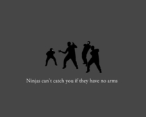 Pic #9 - Ninjas cant get you