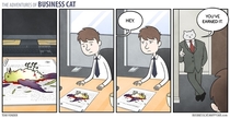 Pic #9 - The adventures of business cat