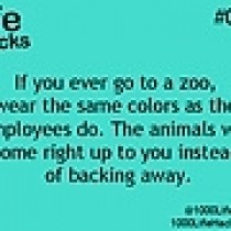 Pic #9 -  Useful Life Hacks