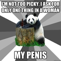 Pick Up Line Panda has a way with words