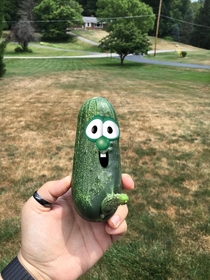 Picked this cucumber this morning Then I added the face