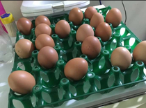 Picking eggs randomly in a tray  so they dont know who is next I like creating tension 