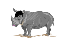 Picture I did of Rihanna as a Rhino Rihanno Rhiannosomething like that