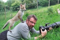 Pictures Showing That Nature Photographers Have The Best Jobs Ever