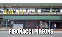 Pidgeonacci Sequence