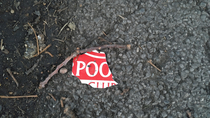 Piece of poo I saw on the floor