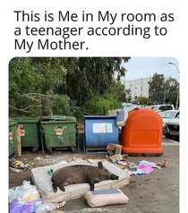 Pig in trash