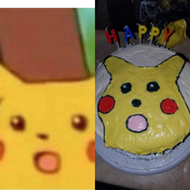 Pikacho was later put out of his misery