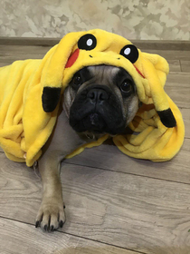 Pikachu who 