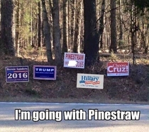 Pinestraw 