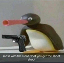 Pingu in the hood