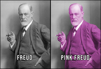 Pink Freud