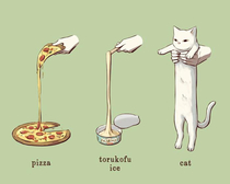 Pizza  Cat