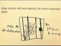 Plant incarceration