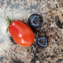 Planted a blueberry bush last year and a tomato plant this year We have our first harvest