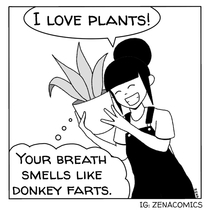 Plants are probably assholes 