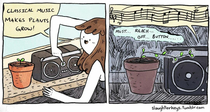 Plants love music