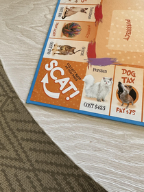 Playing Cat-Opoly and this is the starting spot