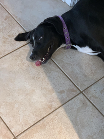 Please god No more walks