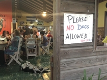 Please NO dogs allowed 