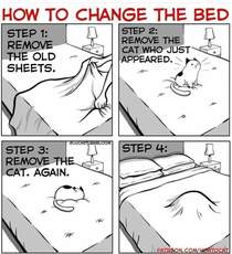 Please note Similar steps must be taken for folding laundry