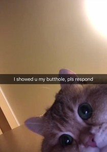 Pls Respond 