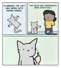 Plunkers the Cat 
