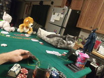 Poker night with the boys during quarantine